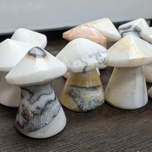 Zebra Calcite Mushroom