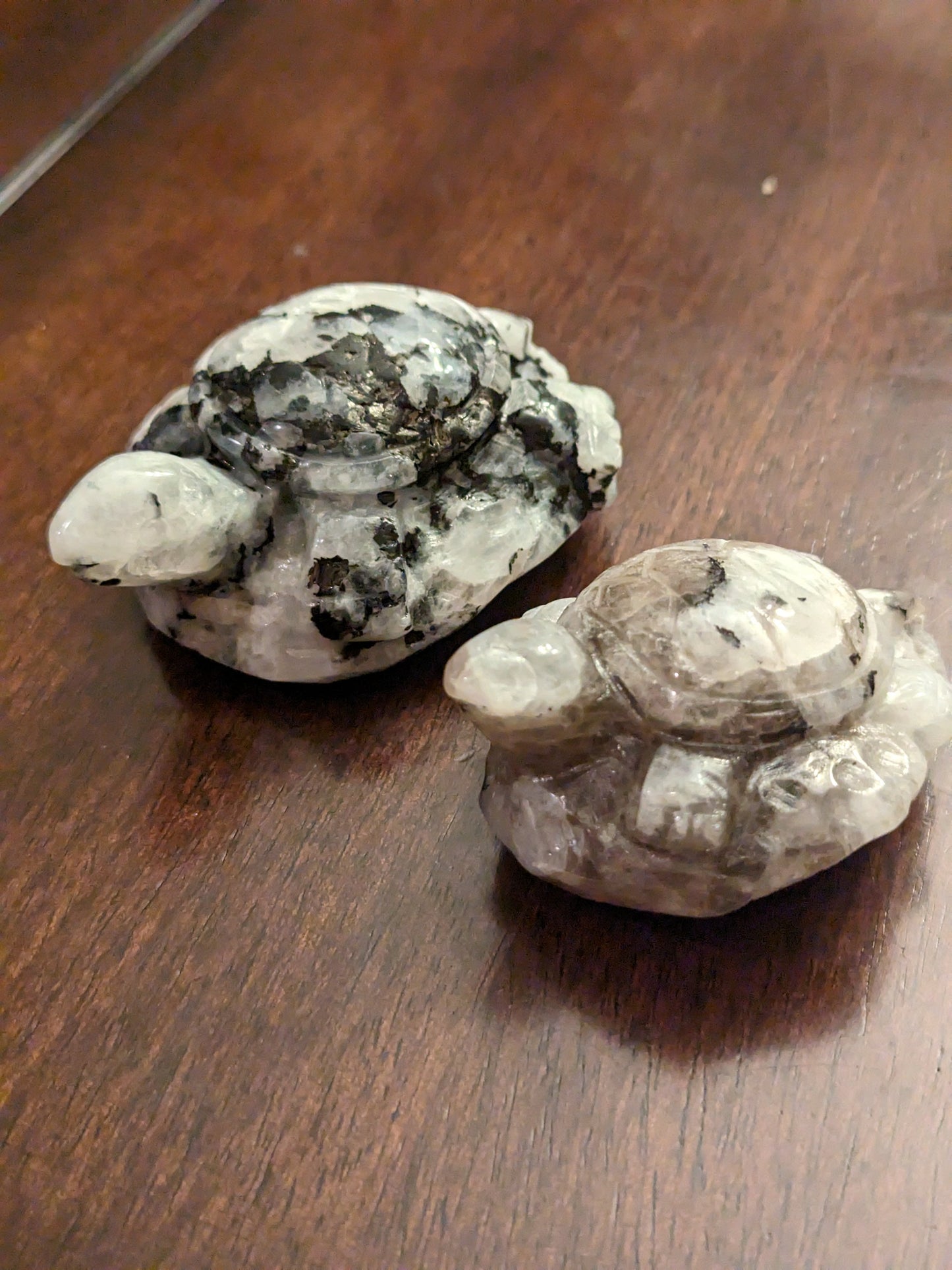 Moonstone Turtles