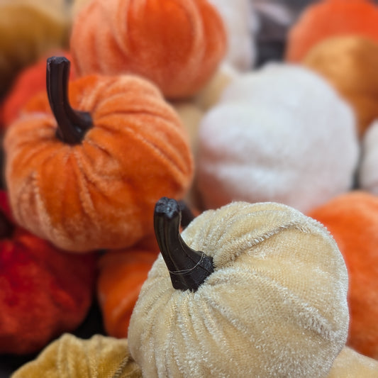 Small Velvet Pumpkins