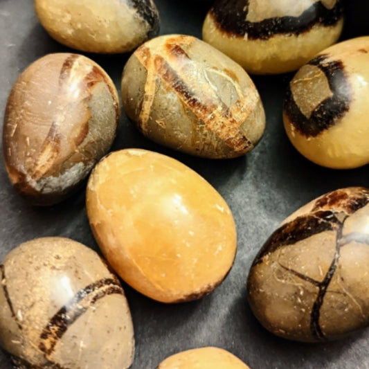 Septerian Eggs