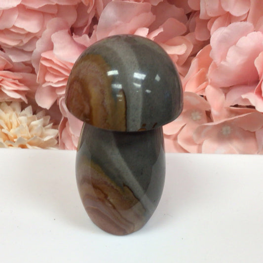 Polychrome Mushroom
