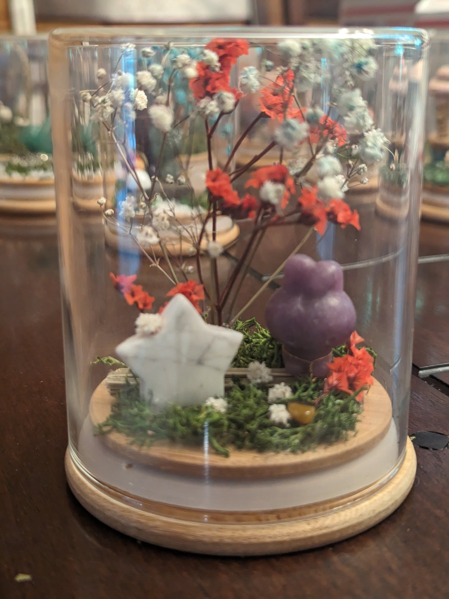 Large Crystal Terrarium