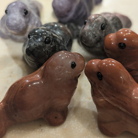 Small Walrus Carvings