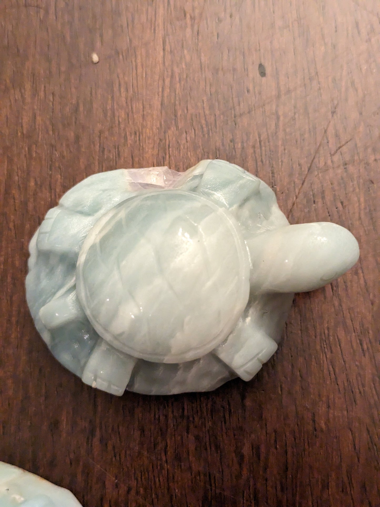 Caribbean Calcite Turtles