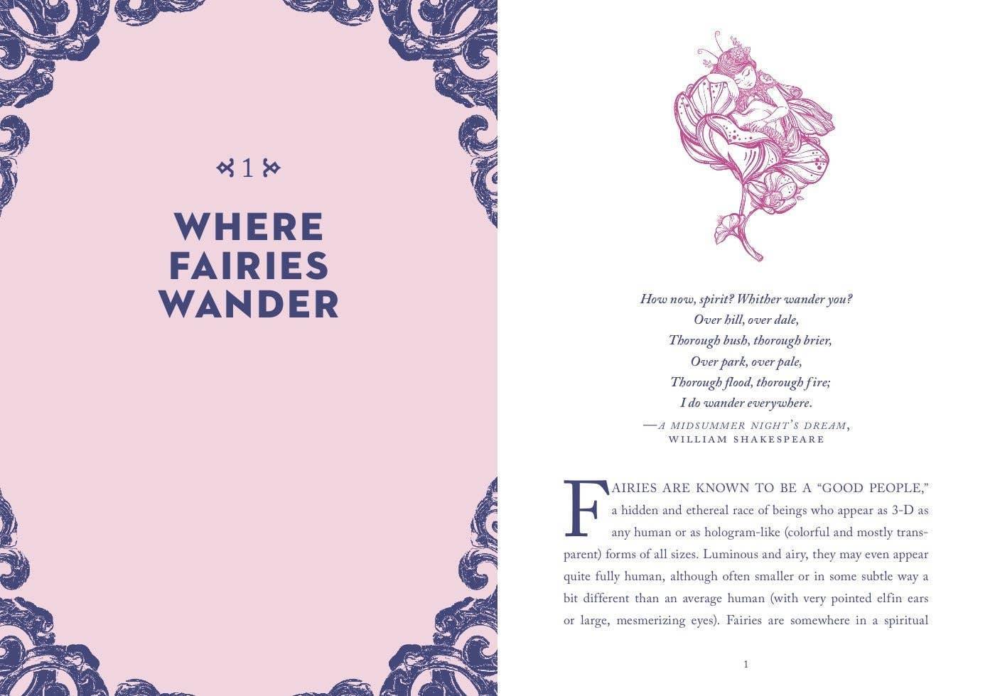 A Little Bit of Fairies by Elaine Clayton