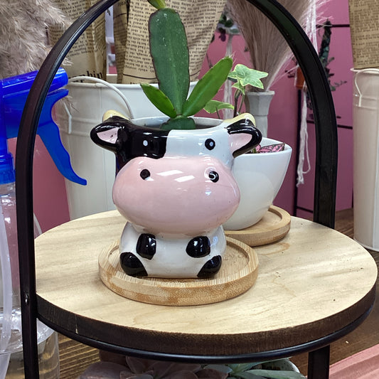 Animal Potted Plant