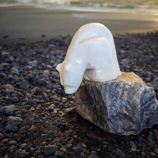 Polar Bear On Raw Sodalite