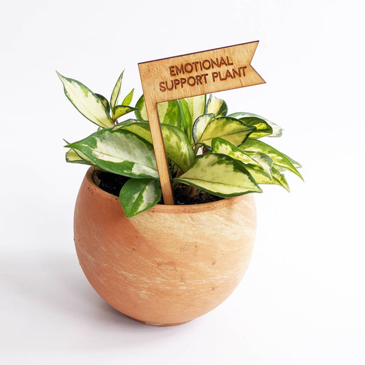 Plant Sign - Emotional Support Plant