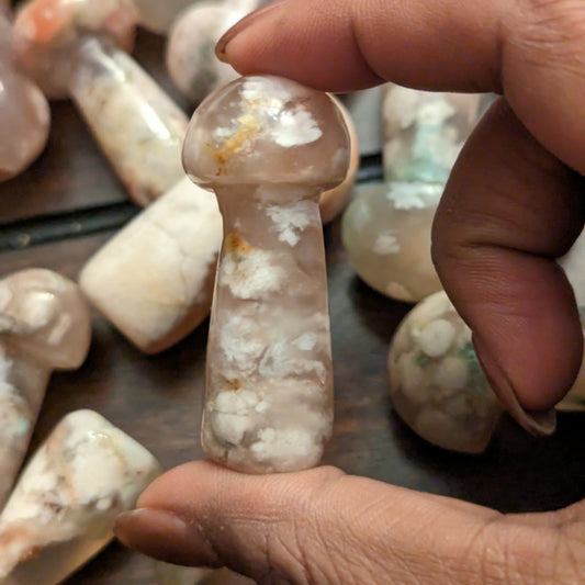 Flower Agate Mushrooms