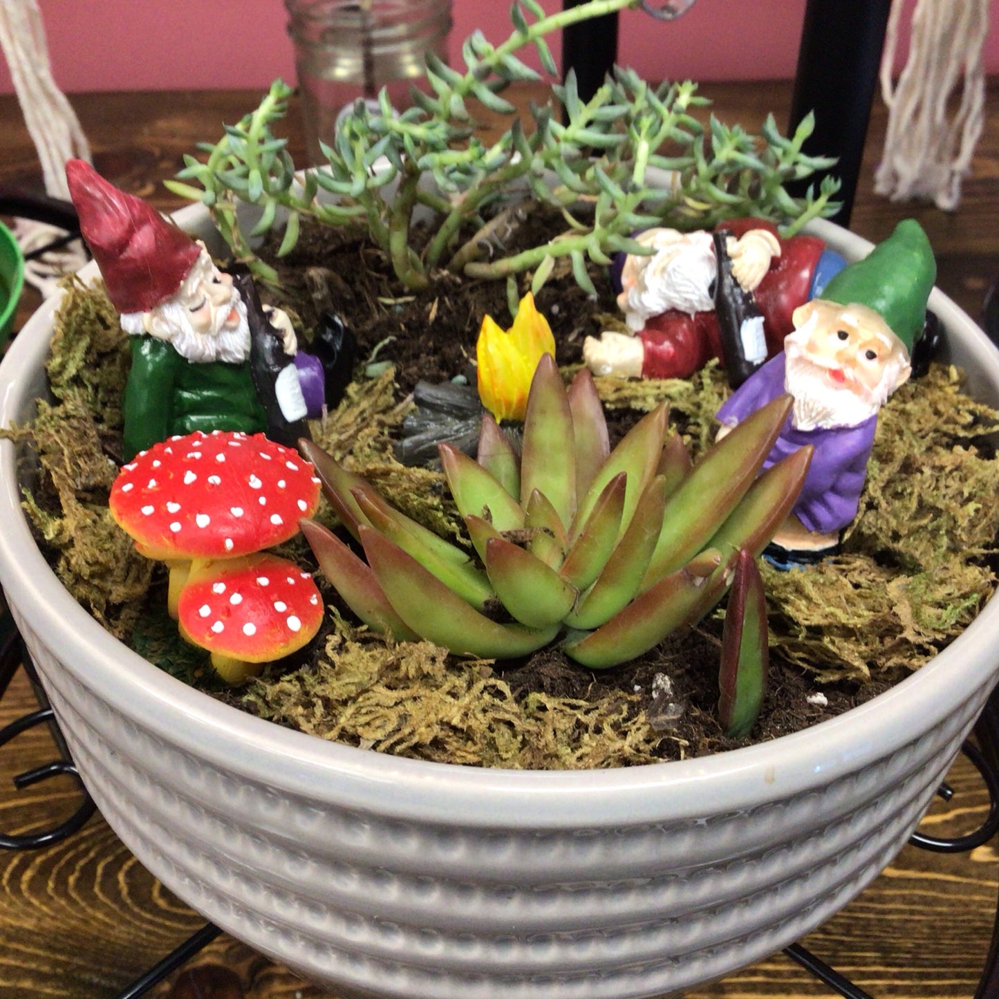 Drunken Gnome Garden