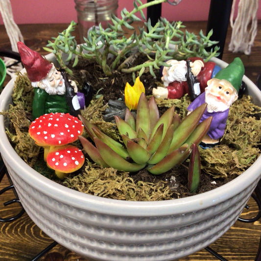 Drunken Gnome Garden