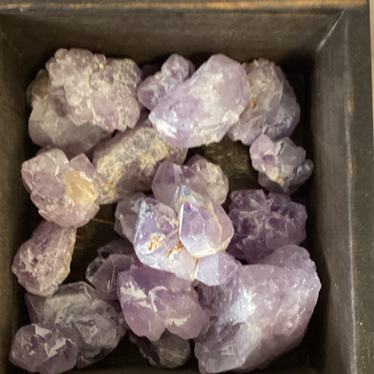 Small Amethyst Clusters