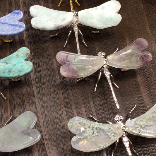 Dragonflies