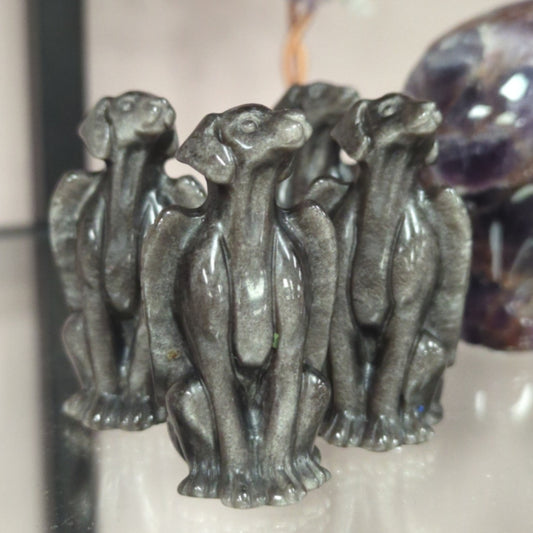 Silver Sheen Angel Dog