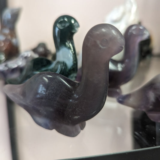 Brontosaurus Dinosaur