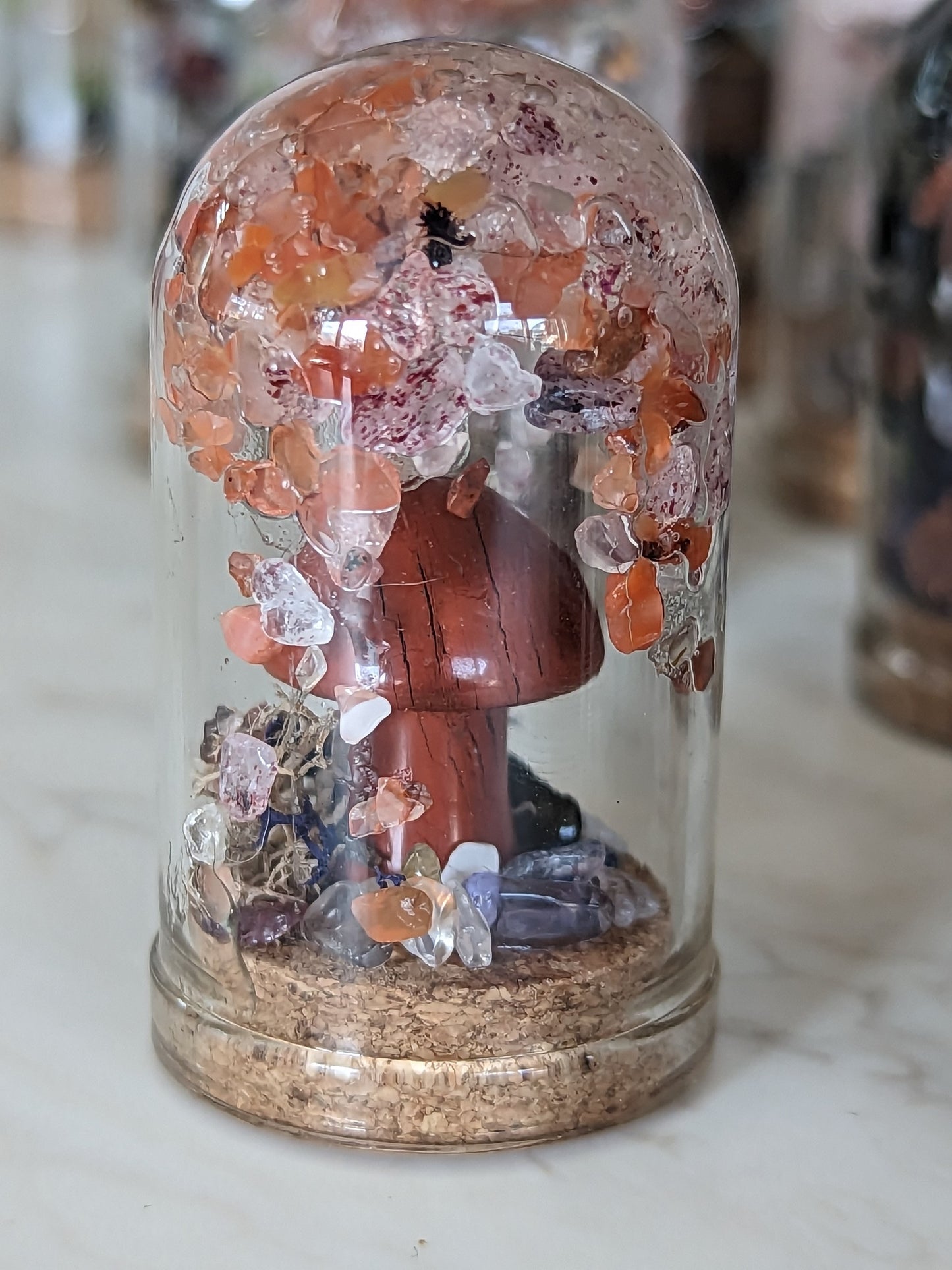 Crystal Terrariums