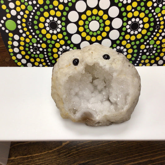 Clear Quartz Geode Crystal Buddy #Q120747