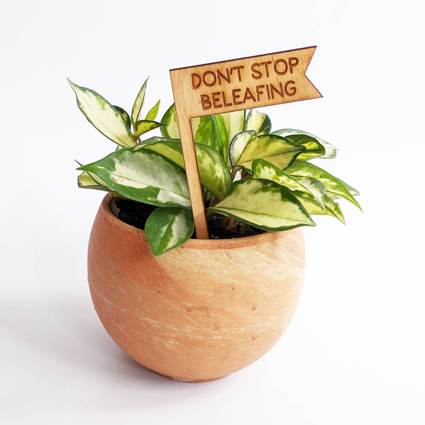 Plant Sign - Don't Stop Beleafing