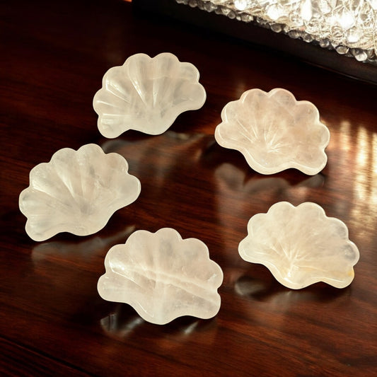 Rose Quartz Shell Bowls