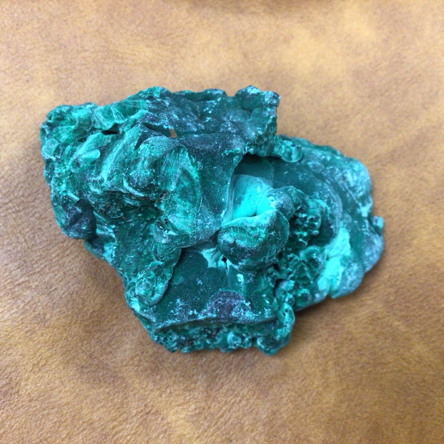 Raw Malachite Specimen #8377666