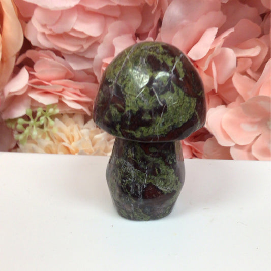 Dragon’s Bloodstone Mushroom