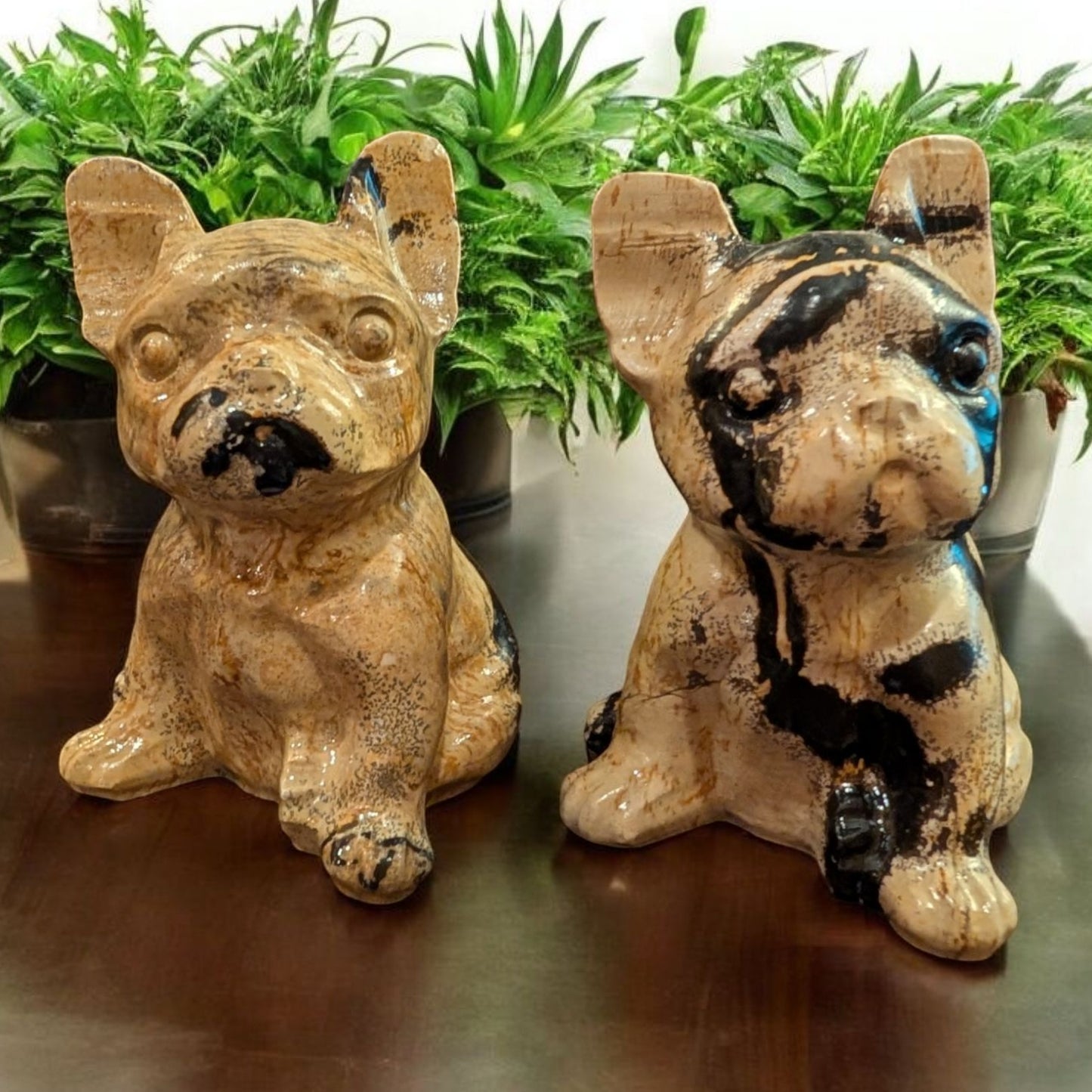 Picture Jasper French Bulldog