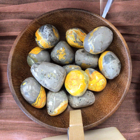 Bumblebee Jasper