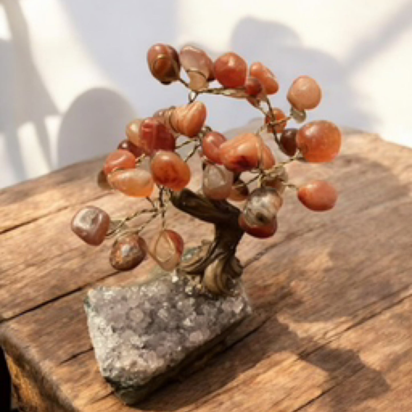 Carnelian Tree on Raw Amethyst
