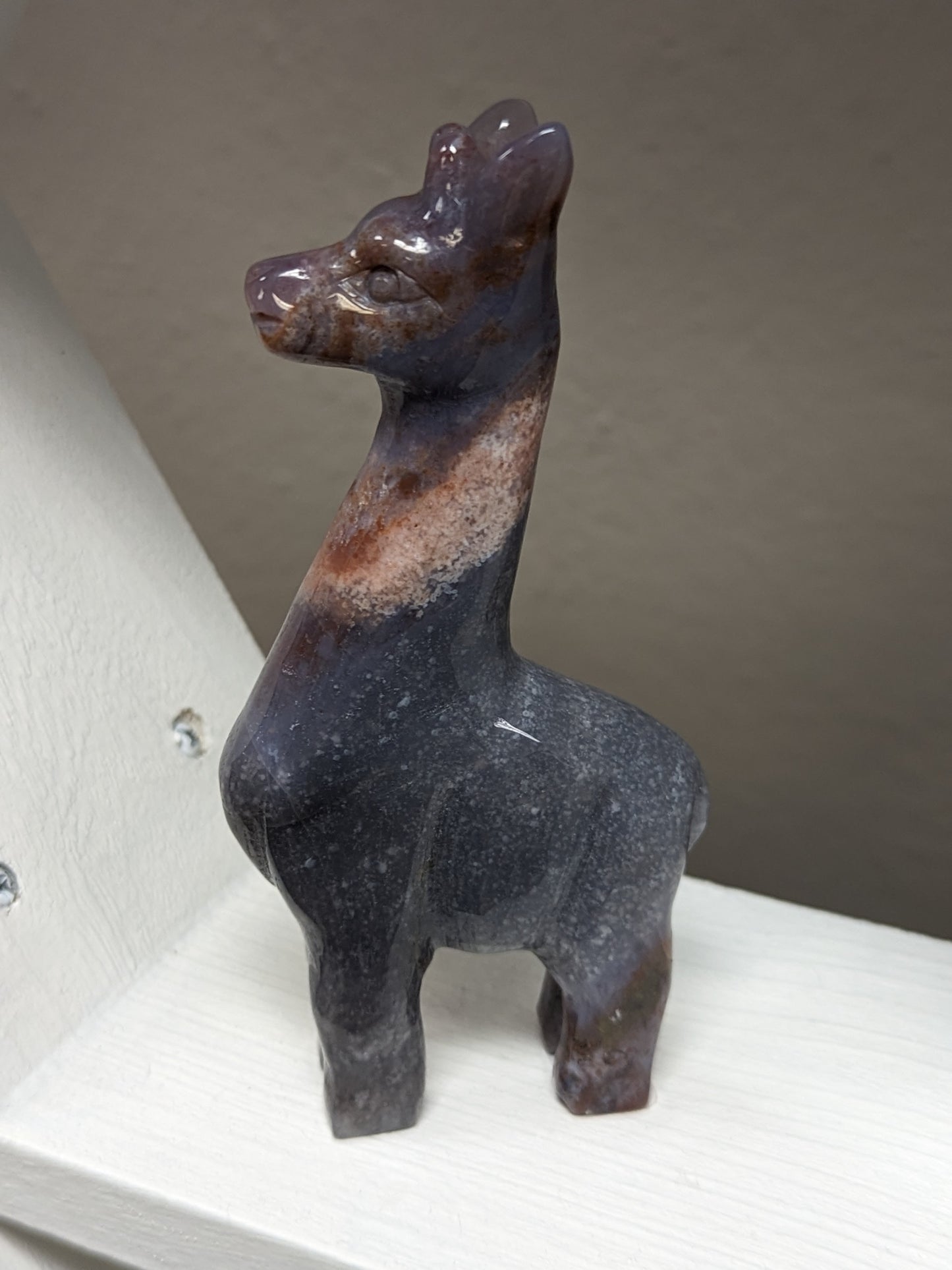 Ocean Jasper Giraffe