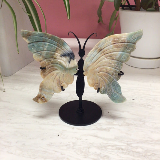Caribbean Calcite Wings