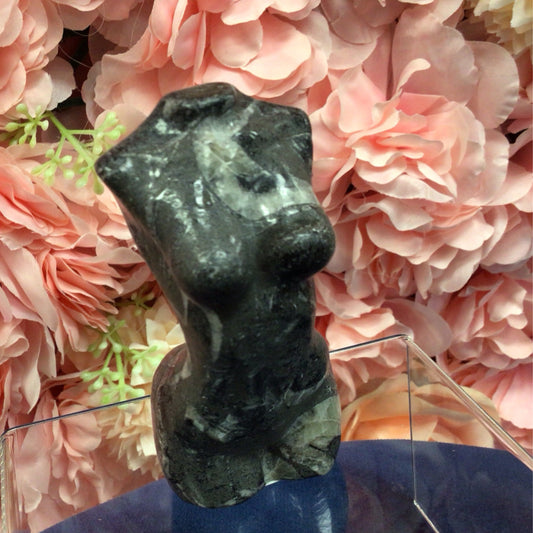 Thousand Eye Jasper #318411D