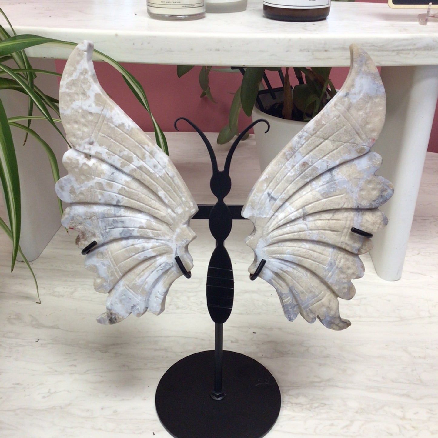 Big Agate Wings