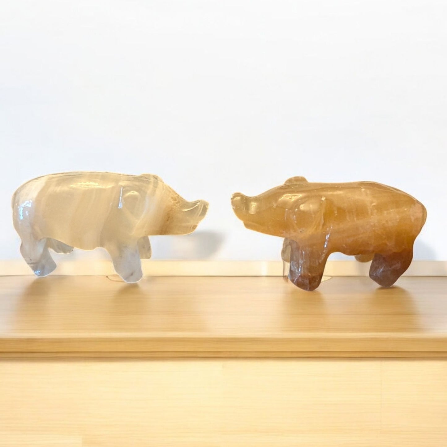 Calcite Mini Pigs