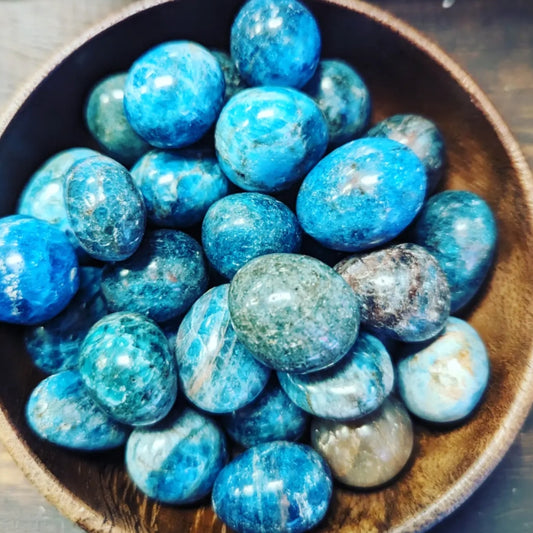 Blue Apatite Tumbles