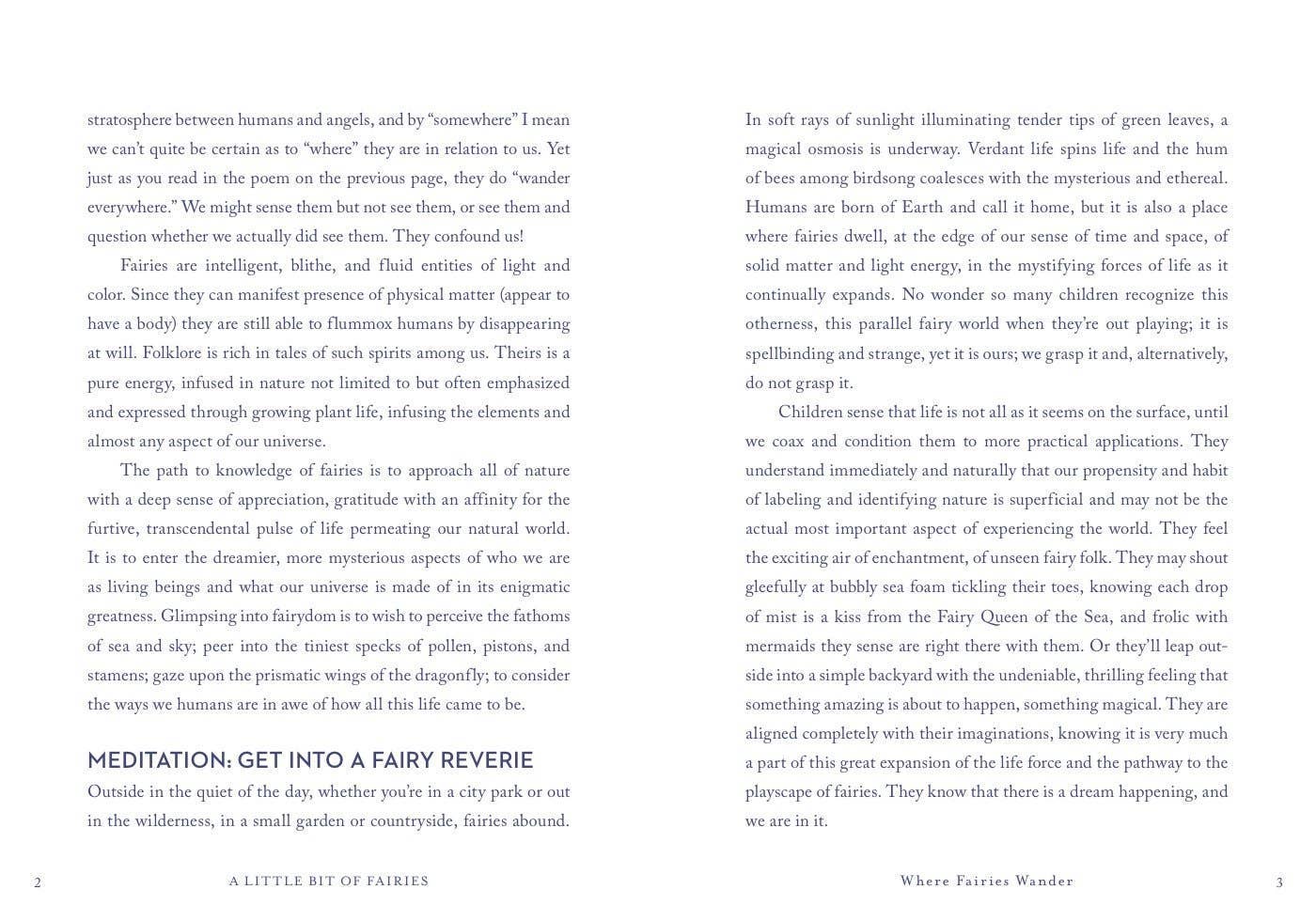 A Little Bit of Fairies by Elaine Clayton