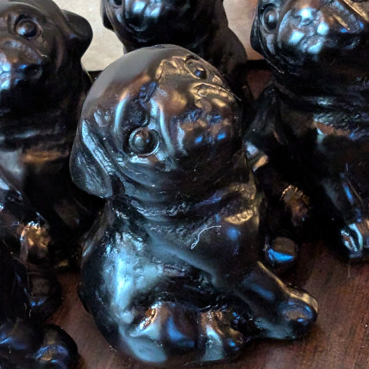 Pugs
