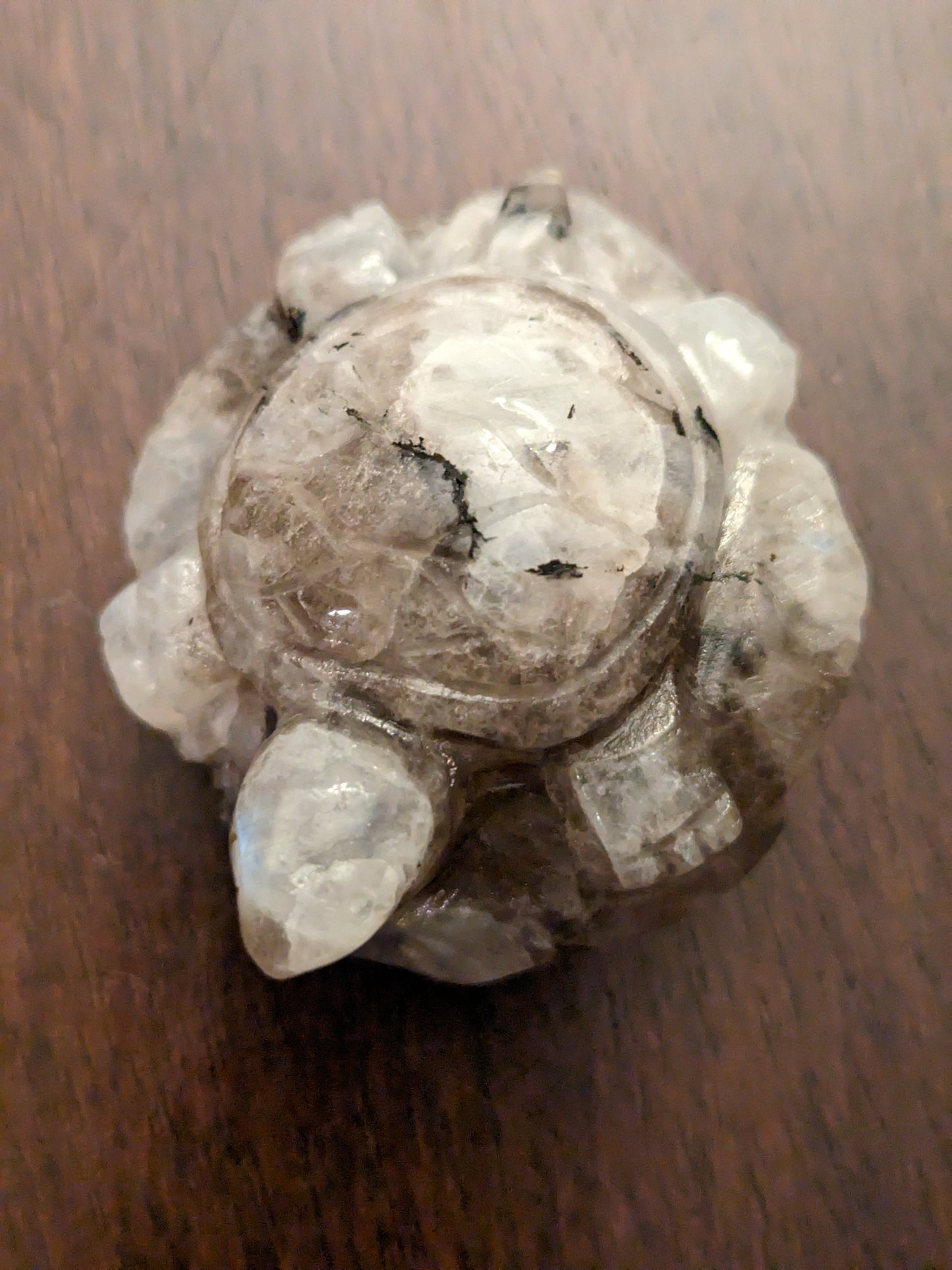Moonstone Turtles