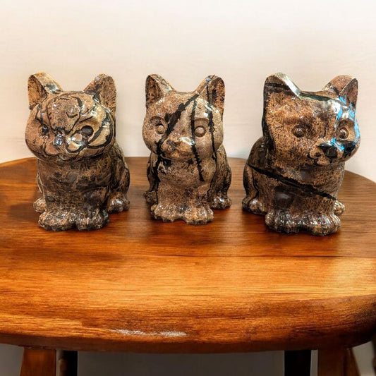 Picture Jasper Cats