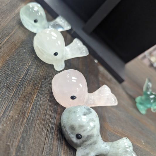 Whales